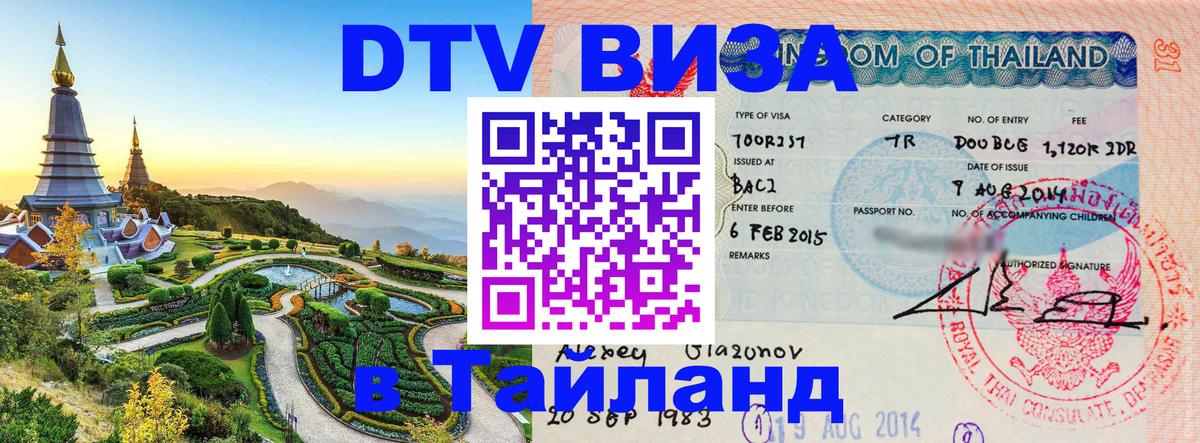 Оформление DTV визы под ключ: стоимость и тарифы, только загранпаспорт - 
